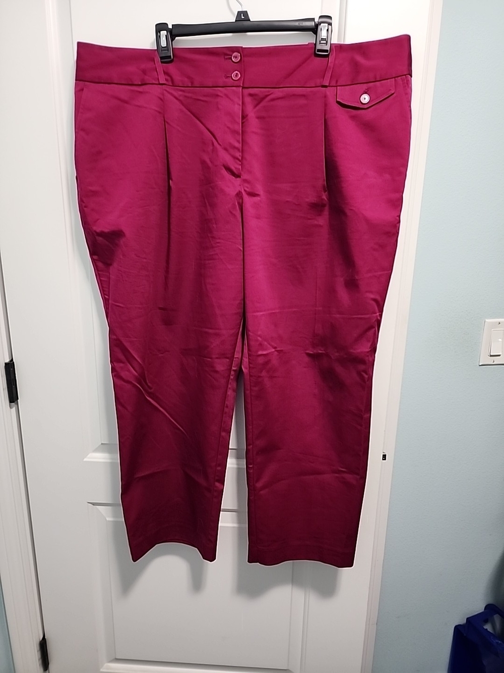 Liz Claiborn Bright Fuchsia Pants